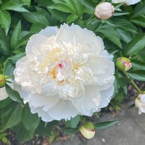 Meet your Posher, Christina